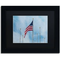 Trademark Fine Art "Red, White and Blue" Canvas Art by David Ayash Black Matte, Black Frame
