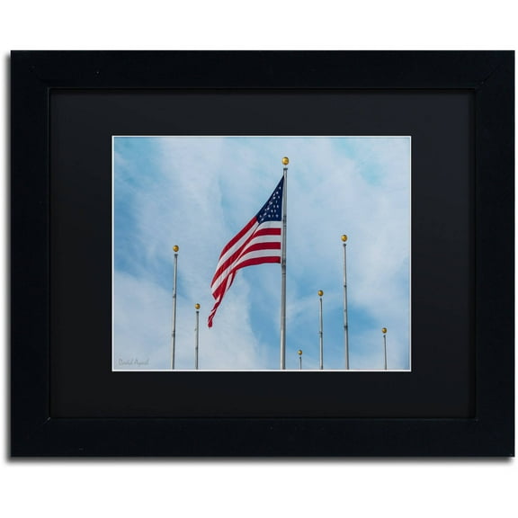 Trademark Fine Art "Red, White and Blue" Canvas Art by David Ayash Black Matte, Black Frame