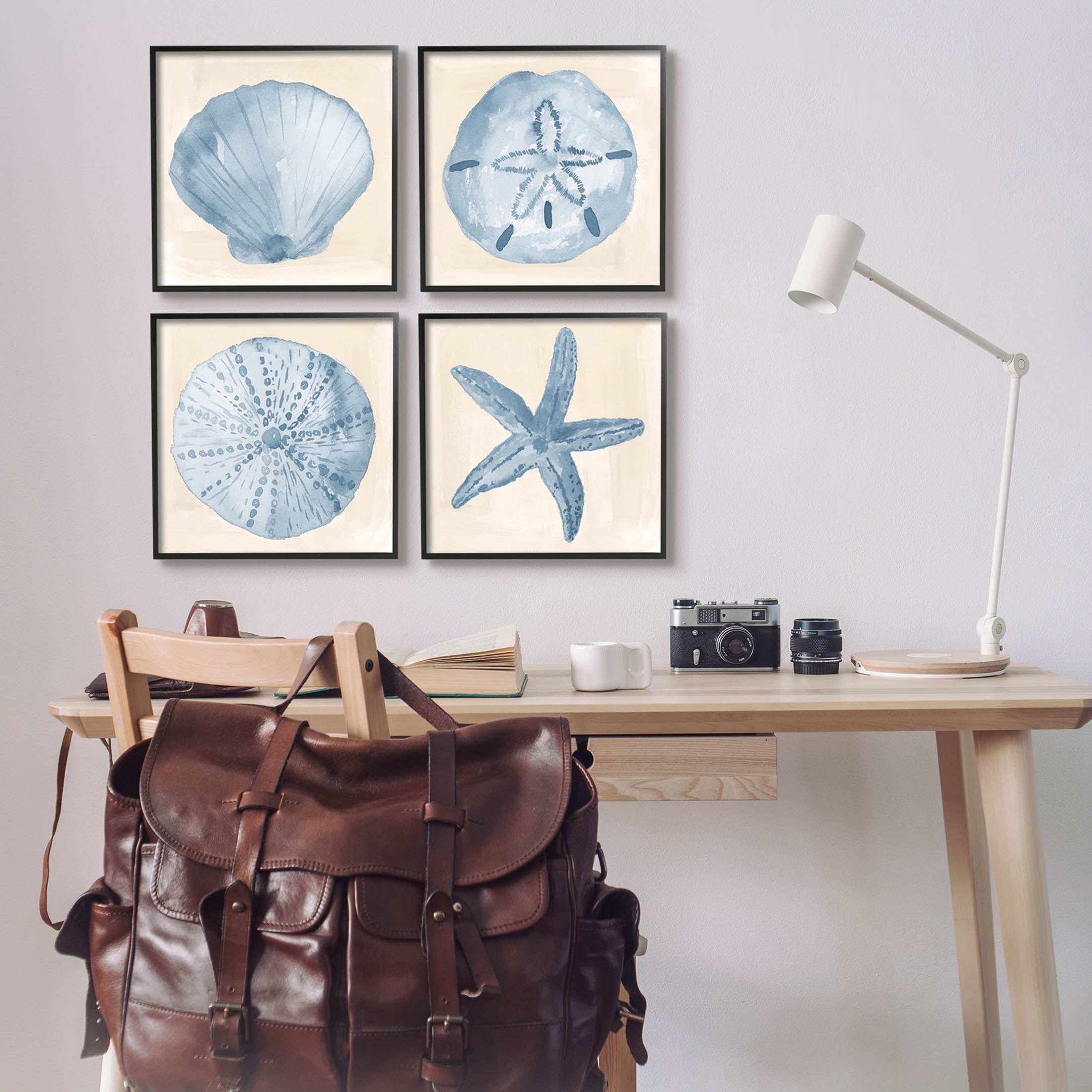 Blue Varied Seashell Marine Life Animals & Insects Graphic Art Black Framed Art Print Wall Art, Set of 4