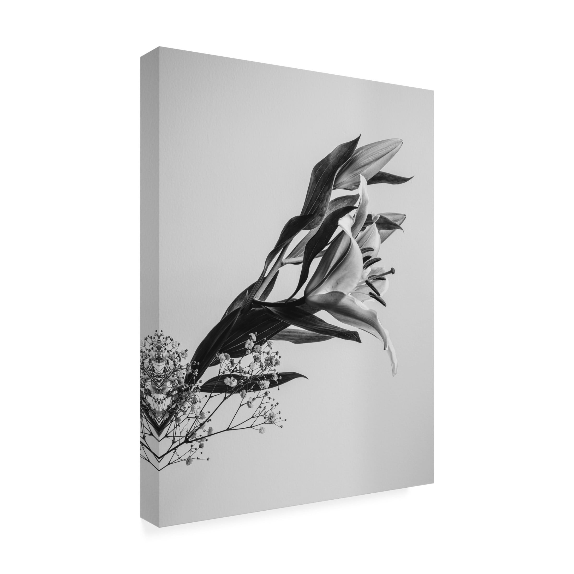 Trademark Fine Art Rahel Jo A Beautiful Flower Canvas Wall Art
