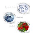 thumbnail image 5 of Cuello reafirmante antiarrugas doble rodillo tonificante crema de rejuvenecimiento blanqueamiento hidratante belleza cuidado de la piel suero Feliz Sencillez, 5 of 5