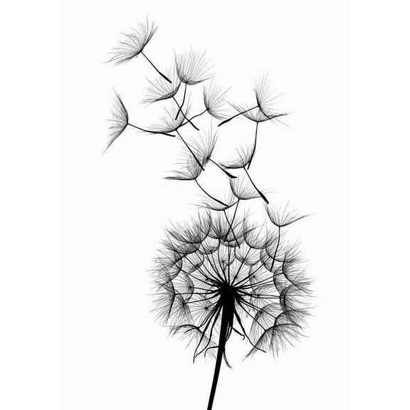Dandelion No2 Print Wall Art, Modern Wall Decor For Living Room Bedroom, 8x12 UNFRAMED