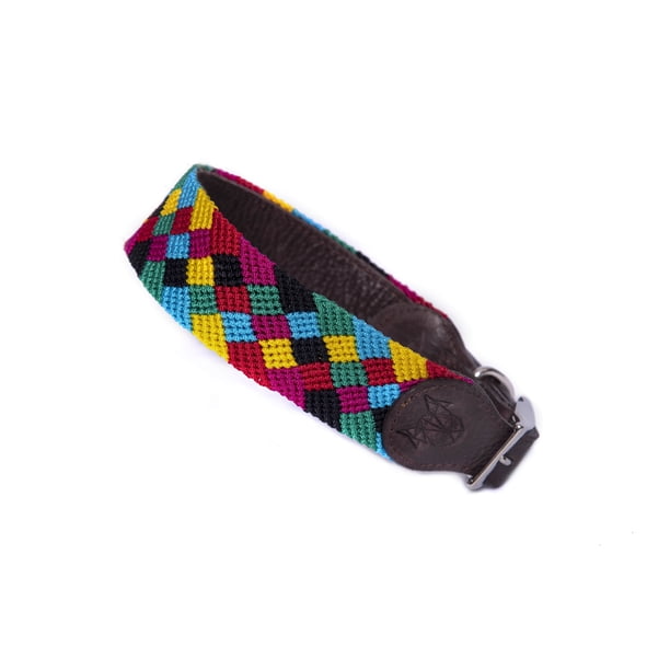 Collar para perro Alebripets Collar Grande Xttut