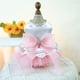thumbnail image 1 of Nvzi Vestido para cachorro, bonito vestido de princesa para gato, falda para perritas pequeñas (A20, L), 1 of 4
