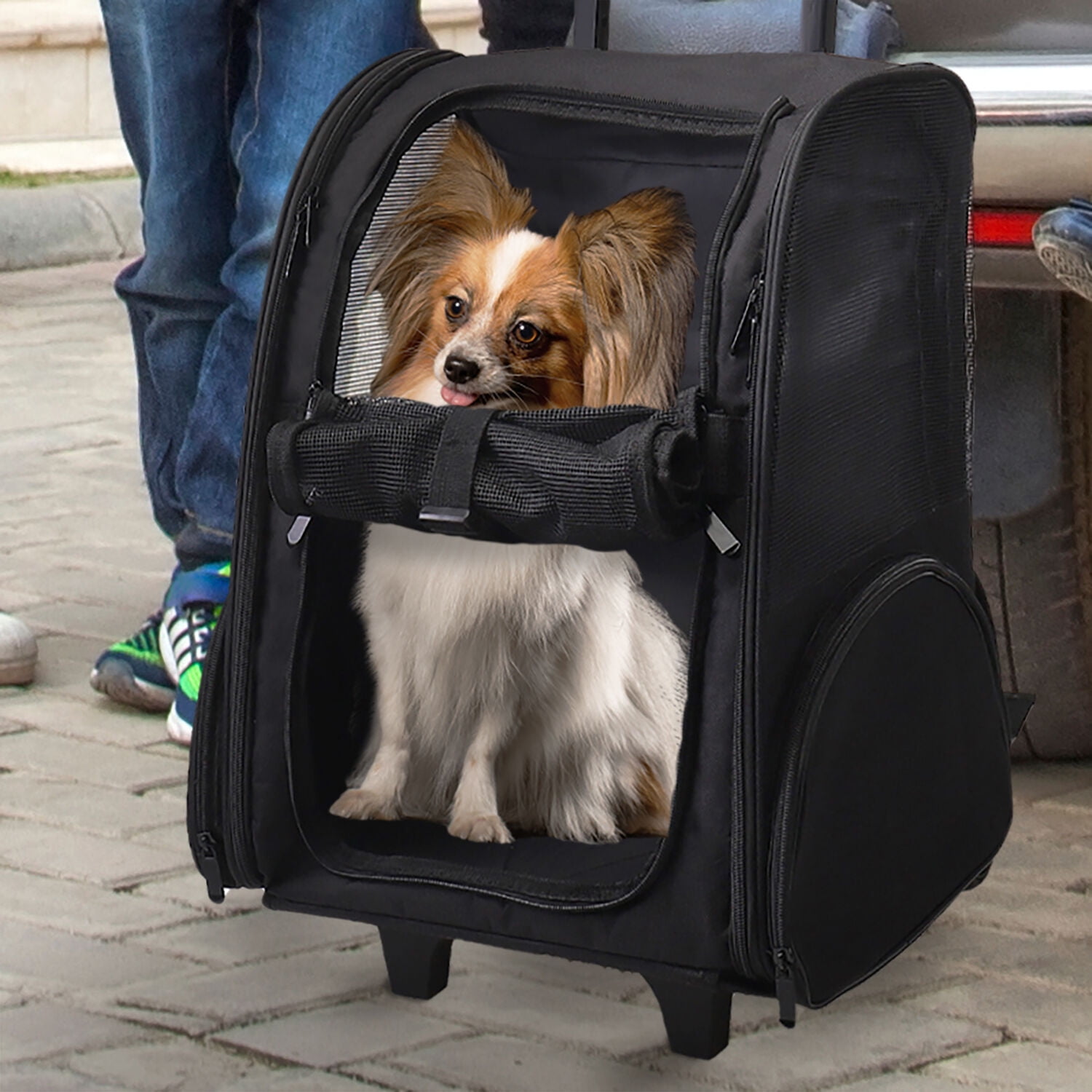 Yorkie 2024 backpack carrier