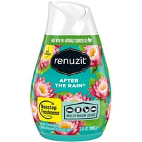 Renuzit Adjustables Air Freshener, After The Rain, 7 Ounce