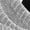 Black-Gray-White, variant on 6 Pairs Women’s No Show Anti-Slip Athletic Socks, Black, White, Grey Classic Colors