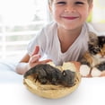 thumbnail image 4 of Attractive Simulation hatches Dinosaur Cub Educational Model Doll Children Gift., 4 of 9