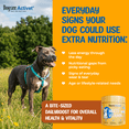thumbnail image 2 of Dogsee Activet+ Multivitamin Chews Vitamins Minerals Probiotics Omega 90 Chews, 2 of 9