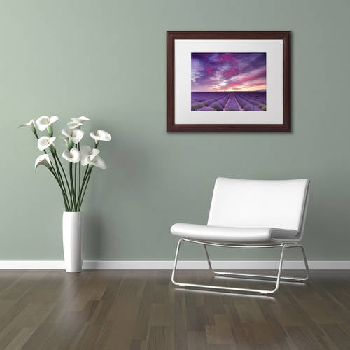 Trademark Fine Art 'Pink and Purple' Canvas Art by Michael Blanchette Photography, White Matte, Wood Frame
