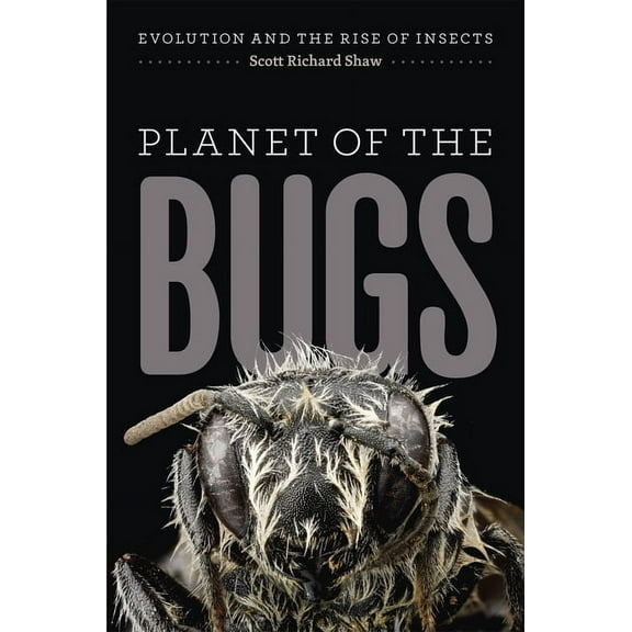 Planet of the Bugs: Evolution and the Rise of Insects, (Hardcover)