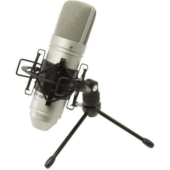 Tascam TM-80 Cardioid Condenser Microphone