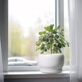 thumbnail image 5 of Ordivic 8 inch Glossy White Ceramic Planter with Drainage Hole & Tray, Indoor Outdoor Round Flower Pot for ZZ Plants,Home Patio Decor, 5 of 6