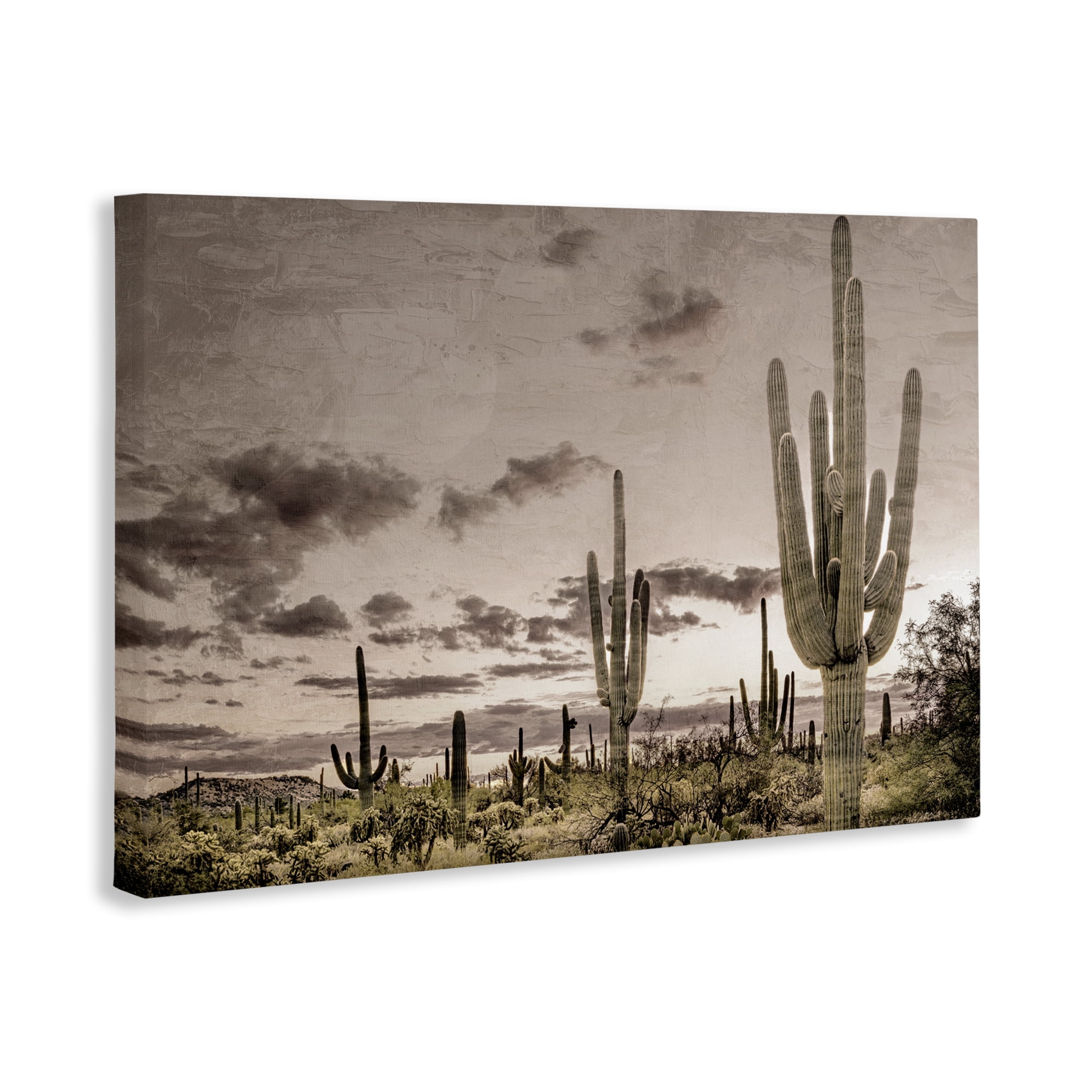 Stupell Industries Desert Sky Wilderness Canvas Wall Art, design by Kim Allen