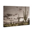 thumbnail image 2 of Stupell Industries Rustic Lodge Desert Sky Wilderness Canvas Art, 36 x 24, by Kim Allen, 2 of 8