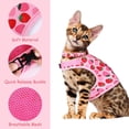 thumbnail image 4 of Coloody Cat Harness and Leash Set ,for Kitties Puppies Small Pets Outdoor Walking, 4 of 7