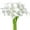 Pure White, variant on Morttic 20 Pack Calla Lily Fake Flowers Wedding Bouquet Artificial Real Touch Flowers Home Table Party Decor (Pure White)