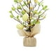 thumbnail image 5 of Lámpara de Árbol de Bonsái de LED Sunnimix Luz del Árbol, 5 of 7