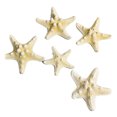 thumbnail image 2 of Starfish Fish Tank Decoration, Artificial Unique Beautiful Starfish Ornament Set for Aquarium Decoration Wind Chime, 2 of 8