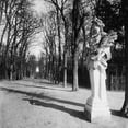 thumbnail image 2 of Atget, Eugene 20x20 White Modern Wood Framed Museum Art Print Titled - France, 1920 - The Park, Versailles, 2 of 4