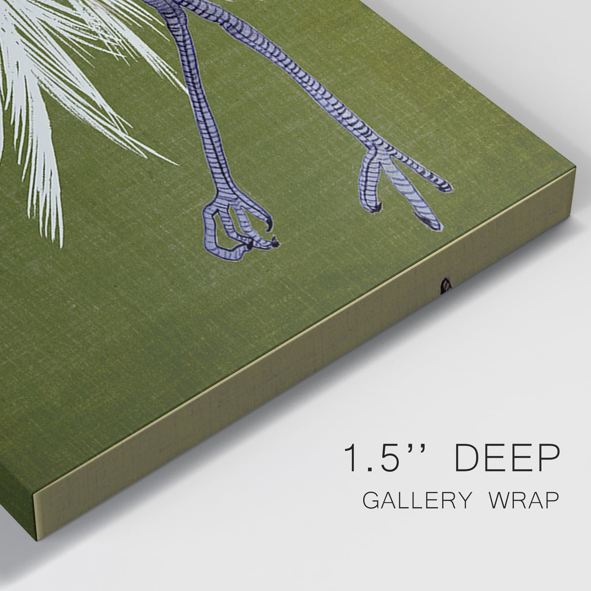 Heron Plumage II Premium Gallery Wrapped Canvas - Ready to Hang - 24 x 36 Each