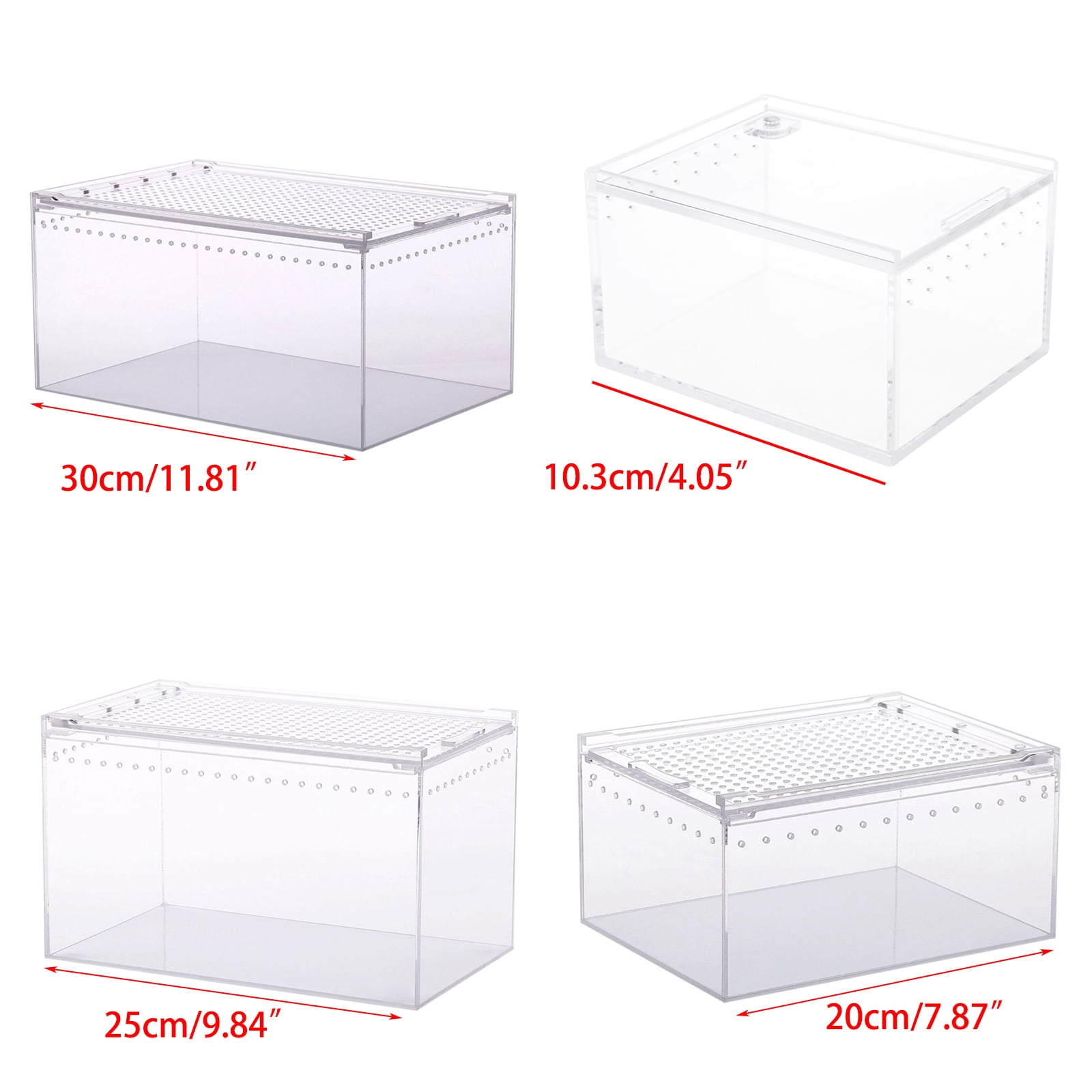 Reptile Box Feeding Small Pet Horned Spider Lizards Snail Snake Clear Designed Box Silkworms Snake House
