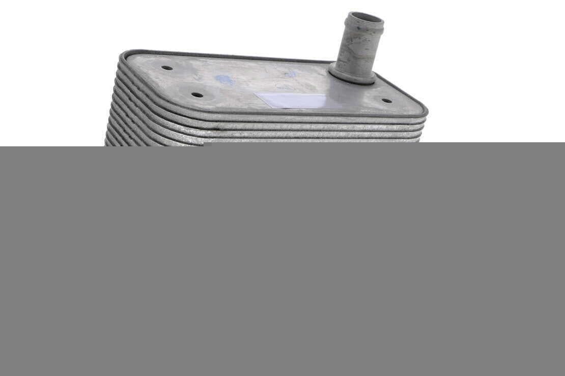 VEMO V48-60-0022 Oil Cooler, engine oil