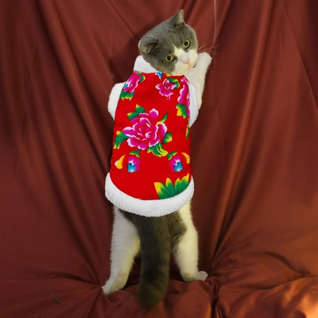 Ropa de invierno para gatos Salvador chaleco cálido Año Nuevo