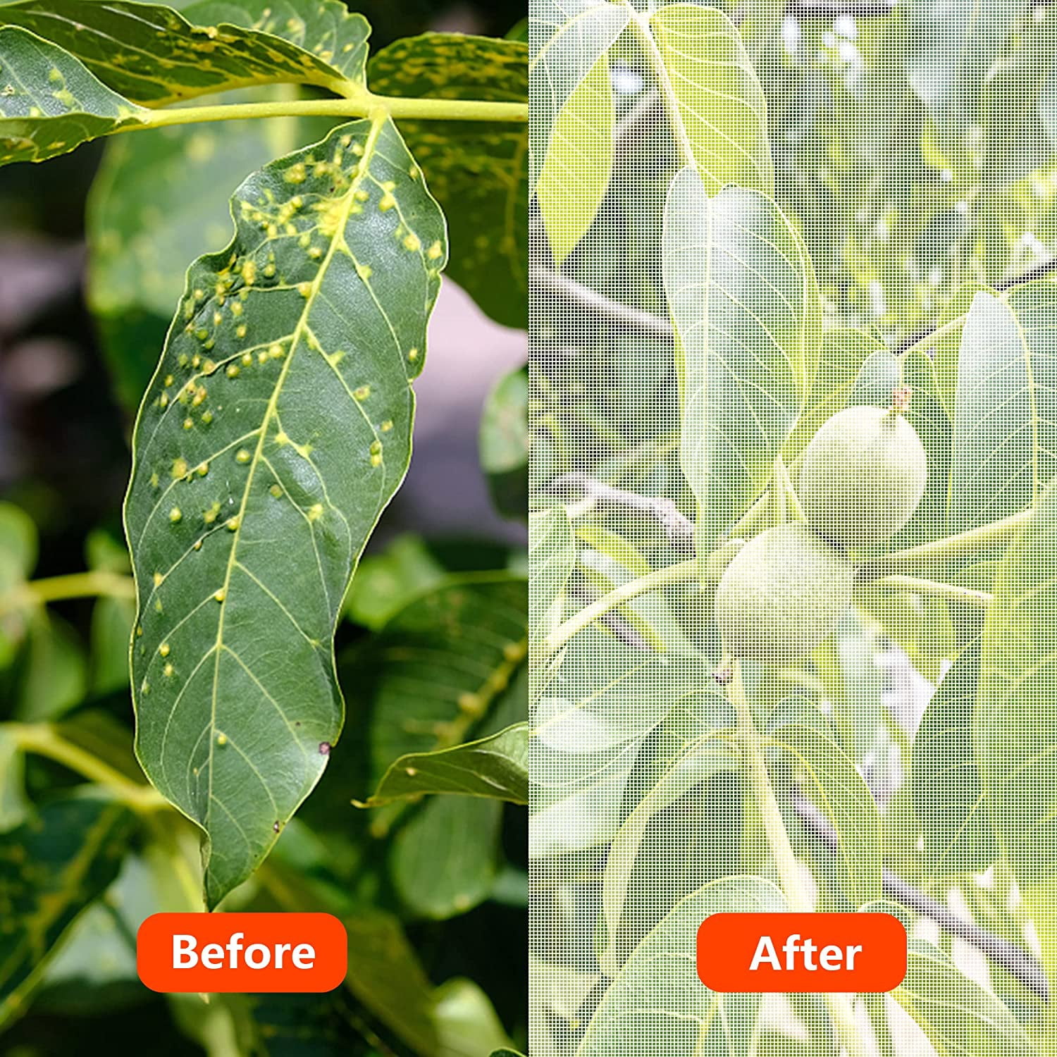 Insect Bird Barrier Netting Mesh- 20 x 10 Feet Garden Bug Netting Plant Cover for Protect Plant Fruits Flower from Insect Bird Eating