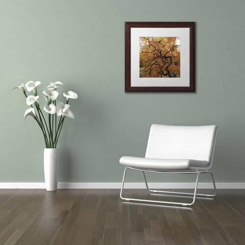 Trademark Fine Art "October Japanese Maple" Canvas Art by Kurt Shaffer, White Matte, Wood Frame