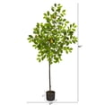 thumbnail image 2 of Nearly Natural 61" Lemon Artificial Tree, 2 of 5
