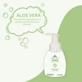 thumbnail image 3 of Essentials Foaming Glycerin Hand Soap, Aloe Vera, 8-Fluid Ounce, Pack of 2, 3 of 7