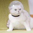 thumbnail image 4 of Guardoinrt Clear View Cat Muzzle Adjustable For Grooming Needs Acrylic Cat Anti Bite Transparent Space Hood M 1Set, 4 of 6