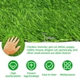 thumbnail image 5 of 4Pcs Chicken Nesting Pads Washable Artificial Grass Nesting Pads Self-Drainage Synthetic Turf Mat with Drain Hole Chicken Nesting Box Pads for Chicken Pet Garden Lawn Indoor Outdoor 12 x 12 x 0.7 inch, 5 of 11