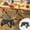 Black, variant on Xuniizn Outdoor Camping Small Folding Stool Concise Adult Small Stool Camping Portable Plastic Stool Fishing Stool