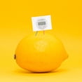 thumbnail image 3 of GOOHOCHY Diy Clock Kit 1Set Fruit Battery Science Experiment For Children Students Educational Tool Home Projects, 3 of 7