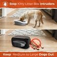 thumbnail image 2 of Pexter Cat Litter Box Enclosure, Dog Proof, Discreet and Hidden Litter Box, Kitty Litter Trap Design with Easy-Clean Feature, Scoop and Deodorizer Storage Pockets, Lightweight and Waterproof, 2 of 7