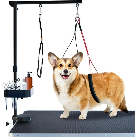 good fortune Pet Grooming arm with clamp for Large and Small Dogs - 35 inch Height Adjustable and Free Two No Sit Haunch Holder,Black