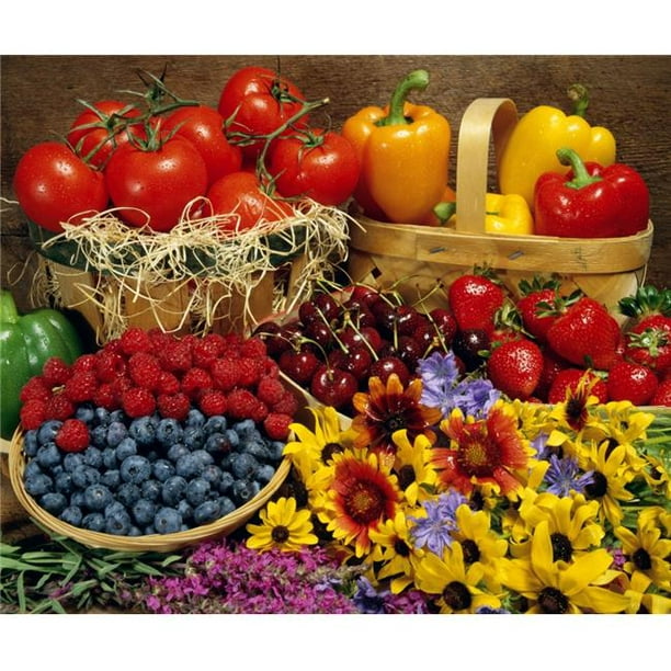 Posterazzi DPI1803944LARGE Affiche Fruits et Légumes Imprimé par David Chapman, 32 x 26 - Grand
