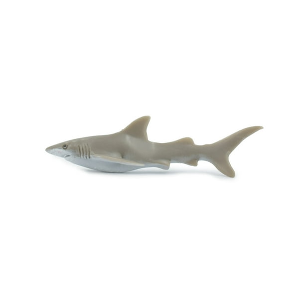 Shark, Galapagos Islands Shark, Grey, Rubber Fish, Educational, Realistic, Figure, Lifelike Model, Figurine, Replica, Gift, 3 1/2" F1531 B150