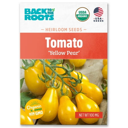 Back to the Roots Organic Tomato 'Yellow Pear', 1 Seed packet