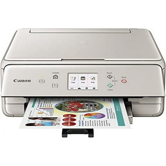 Canon 1368C022 PIXMA TS6020 All-in-One Wireless Printer (Gray)
