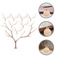 thumbnail image 1 of QUMIIRITY 8Ud Ramas Decorativas Artificiales Café Para Y Estantes Sin Necesidad De Cuidado, 1 of 7
