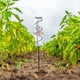 thumbnail image 1 of Pluviómetro de vidrio de 7 pulgadas con estaca metálica en forma de colibrí | Medidor de lluvia impermeable para exteriores | Colector de lluvia decorativo para jardín, patio y césped, 1 of 8
