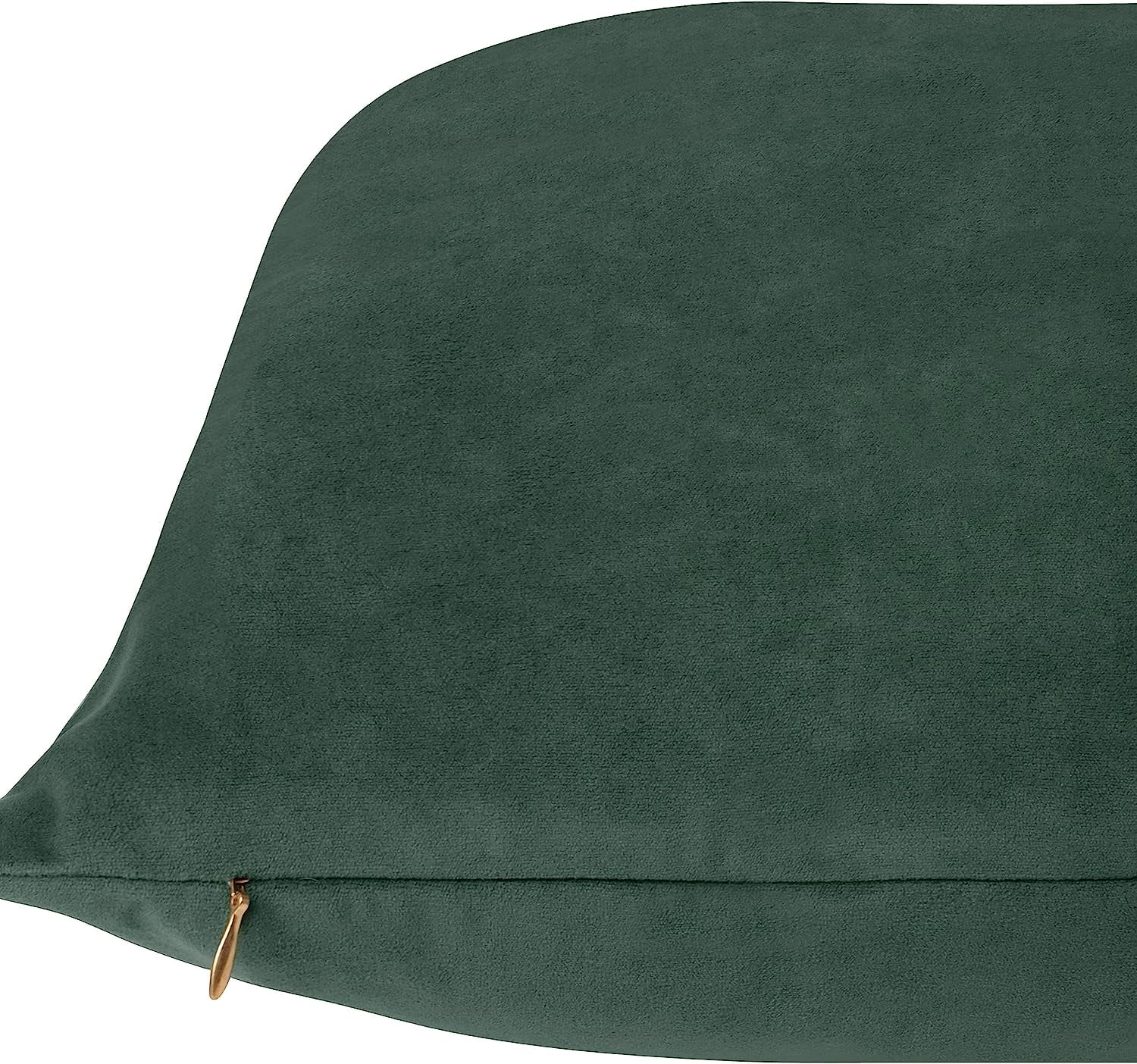 Delara Velvet Decorative Throw Pillow Cover, 20x20 inch, Pack of 1, Soft Breathable Cushion Cover with Hidden Zipper, Bottle Green