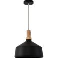 thumbnail image 1 of Yosemite BS27317 Noir One Light Pendant - Black, 1 of 6