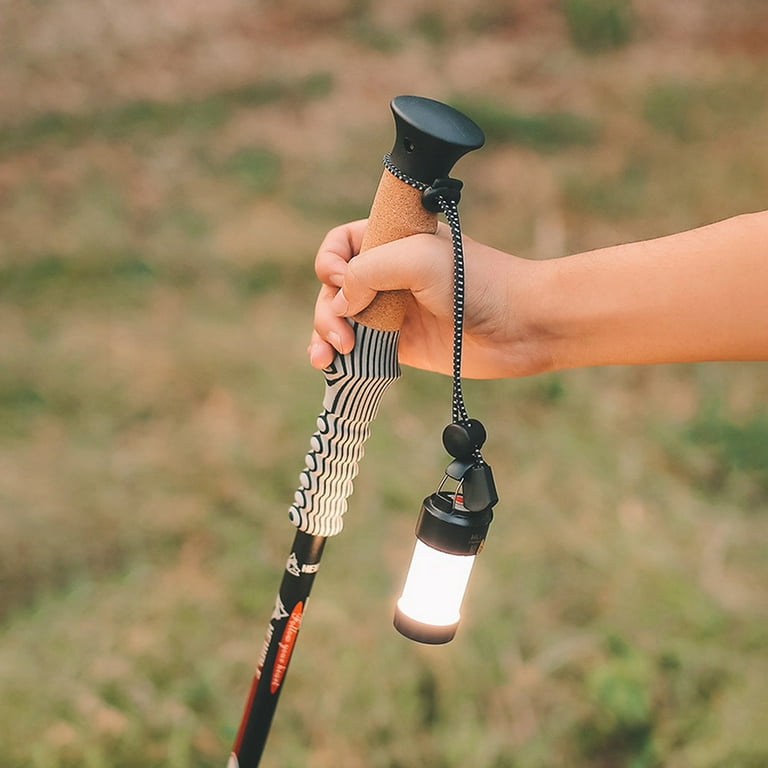 Hiking pole cheap holder