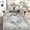 Grey-66, variant on Ultra-Thin Washable Vintage Area Rug - 3x5 Boho Entryway Rug Oriental Medallion Living Room Mat Non-Slip Non-Shedding Stain Resistant Indoor Accent Carpet for Kitchen Bedroom, Black/White