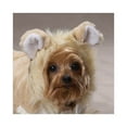 thumbnail image 5 of Casual Canine Lil Lion Dog Costume X-LARGE, 5 of 5