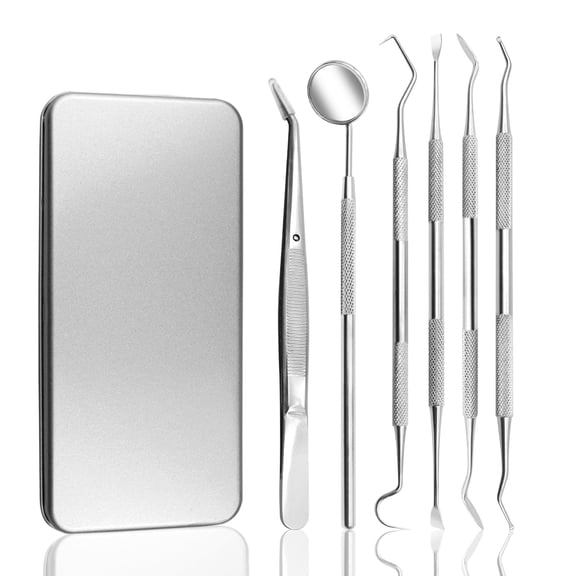 Dr.pedi 6-Piece Stainless Steel Teeth Cleaning Tools - Manual Tooth Scraper & Precision Picks for Personal Grooming, Makeup, Crafts - Portable Travel Case